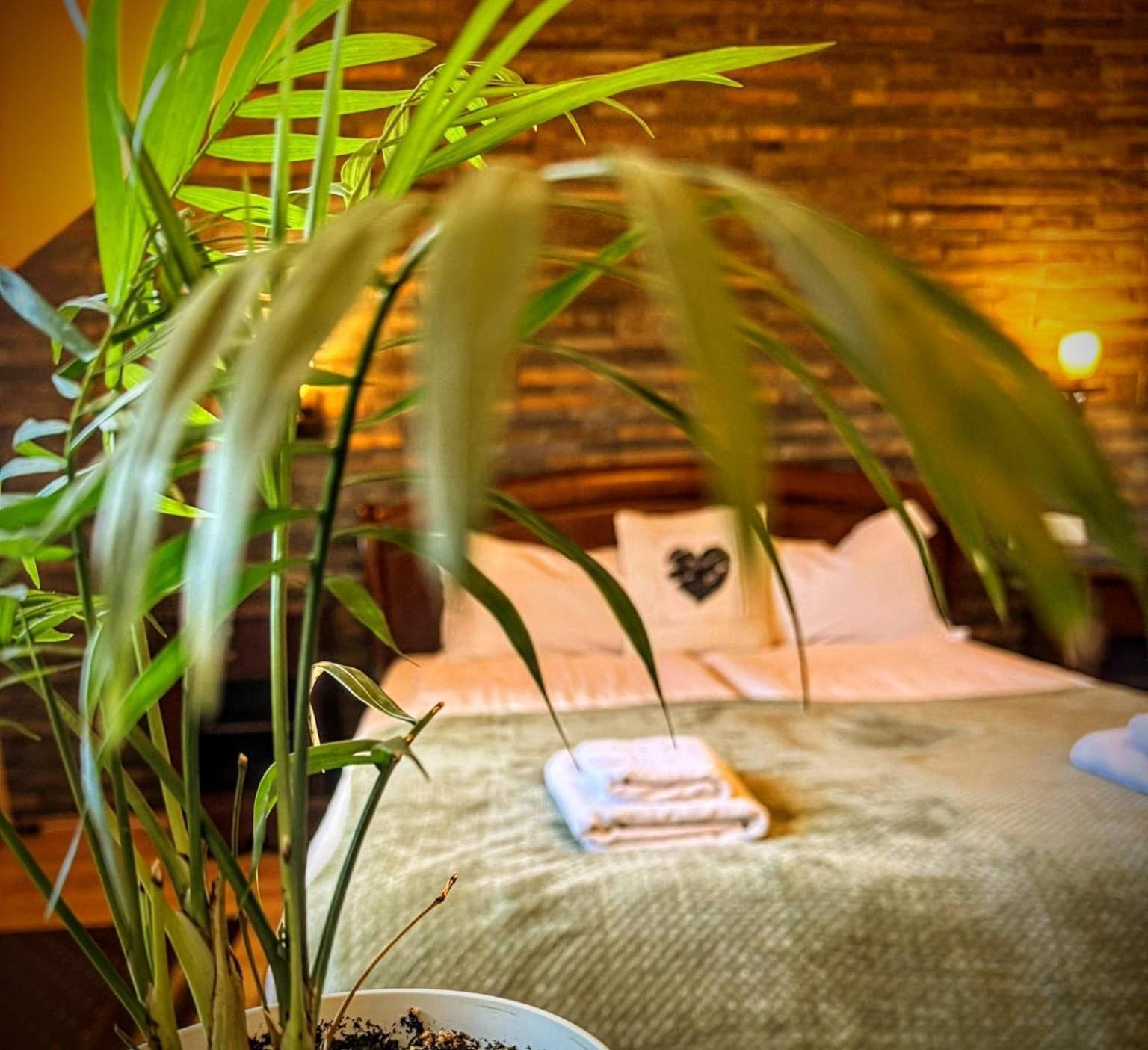 La Cuib Cristian Sibiu Hotell Exteriör bild